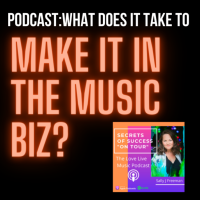 Music Publicity Tips: Interview on The Secret to Success Podcast