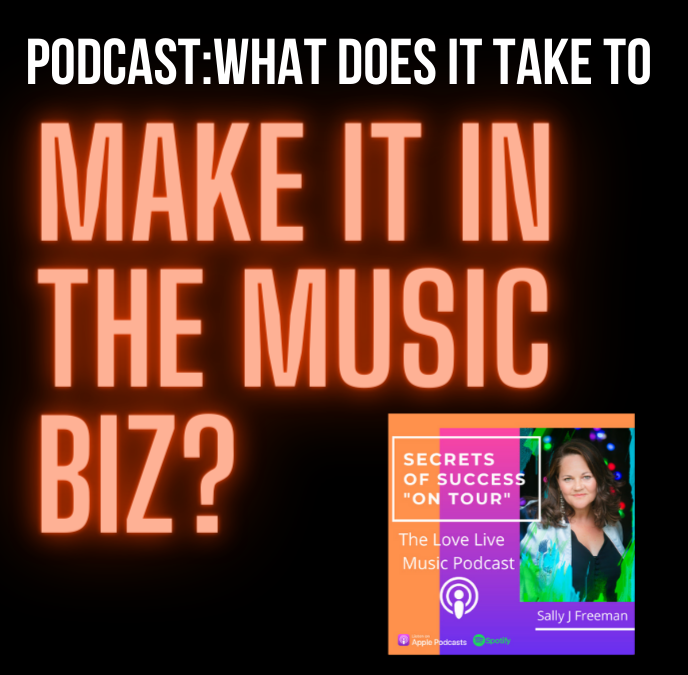 Music Publicity Tips: Interview on The Secret to Success Podcast